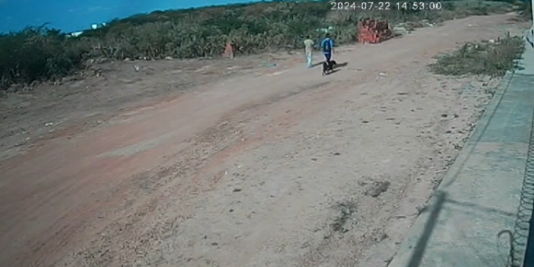 Médico Veterinário é preso acusado de maus-tratos após sacrifício de animal em Mossoró