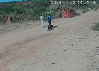 Médico Veterinário é preso acusado de maus-tratos após sacrifício de animal em Mossoró