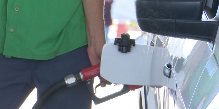 Petrobras anuncia reajuste no preço da gasolina e gás de cozinha