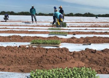 Cosern convoca irrigantes e aquicultores para atualização cadastral