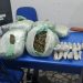 Polícia Civil apreende grande quantidade de drogas em Mossoró