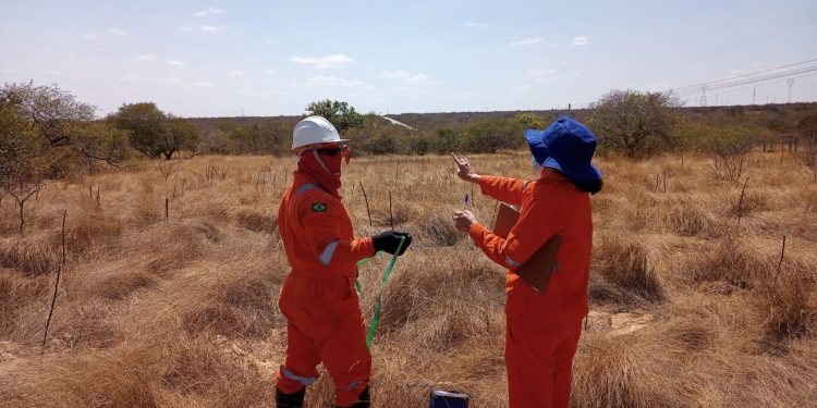 Reaquecimento do Setor de Petróleo e Gás no RN impulsiona empresas locais além das fronteiras estaduais