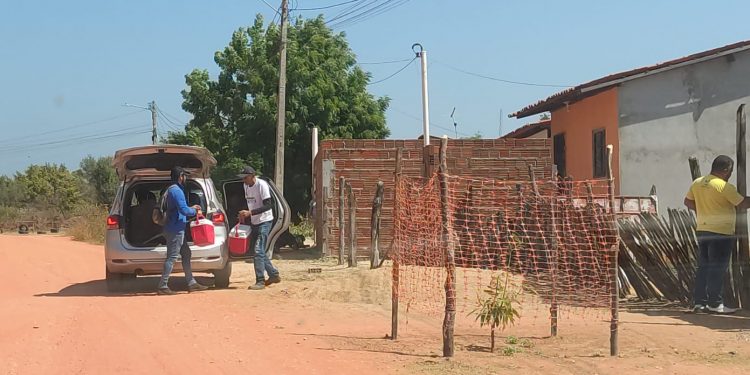 Semana de vacinação antirrábica começou nesta terça-feira; confira a programação