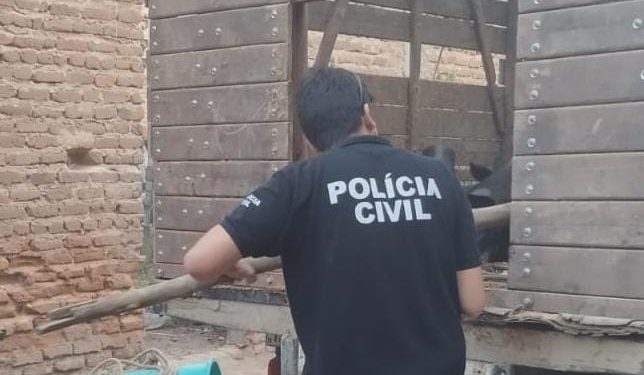 Animais em situação de maus-tratos são resgatados em Apodi; homem é preso