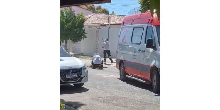 Enxame de abelhas ataca homem em residência próxima ao Vuco Vuco