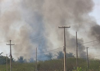 Desde o final de semana, Mossoró registra aumento na quantidade de incêndios