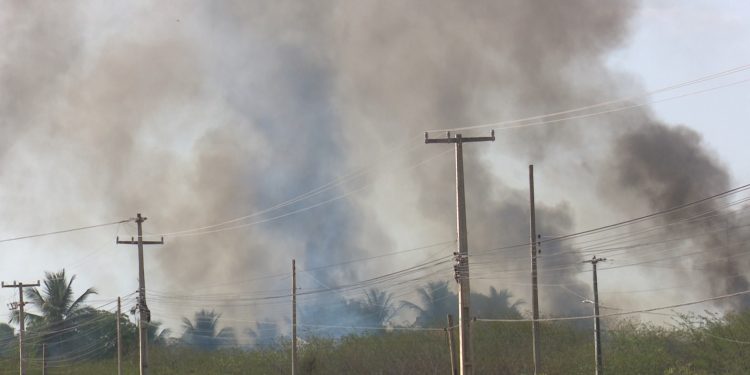 Desde o final de semana, Mossoró registra aumento na quantidade de incêndios