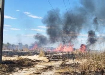 Queimadas próximas à rede elétrica podem causar acidentes, alerta Neoenergia Cosern