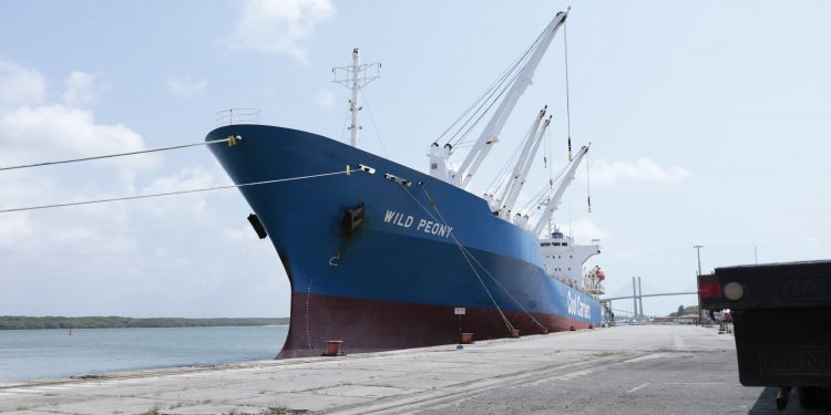 Comércio exterior do RN movimenta quase US$ 1 bilhão até agosto de 2024, com alta de 12% nas exportações