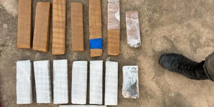 Polícia Militar apreende 10 kg de maconha em operação no bairro Integração, em Mossoró