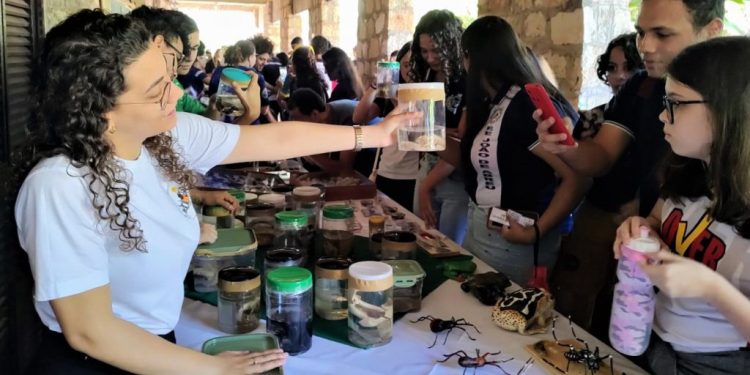 UERN promove Feira das Profissões em setembro, com atividades multicampi para estudantes do ensino médio