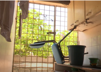 Criminosos furtam mais de 200 ovos e um botijão de gás da Escola Municipal Nono Rosado em Mossoró