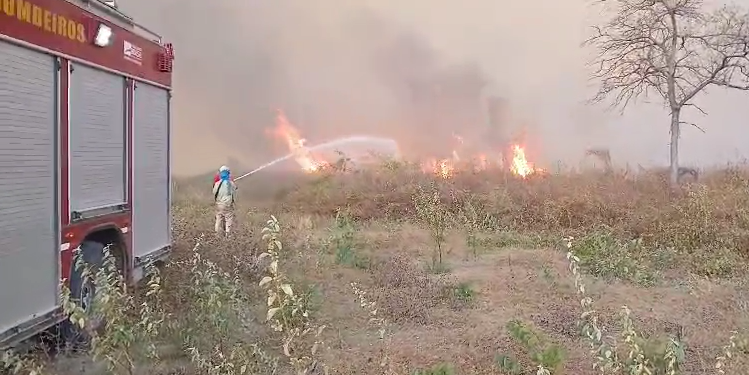 Combate a incêndio na BR-405 dura 7 horas em Apodi