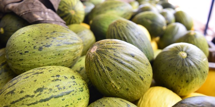 Comércio exterior do RN movimenta US$ 82,2 milhões em setembro, consolidando US$ 1,1 bilhão no acumulado de 2024