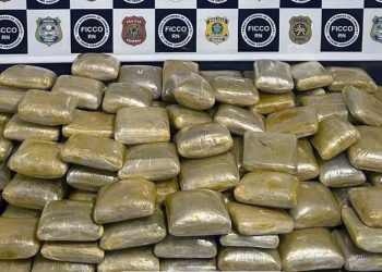 FICCO/RN prende dois homens e faz apreensão recorde de skunk no Rio Grande do Norte