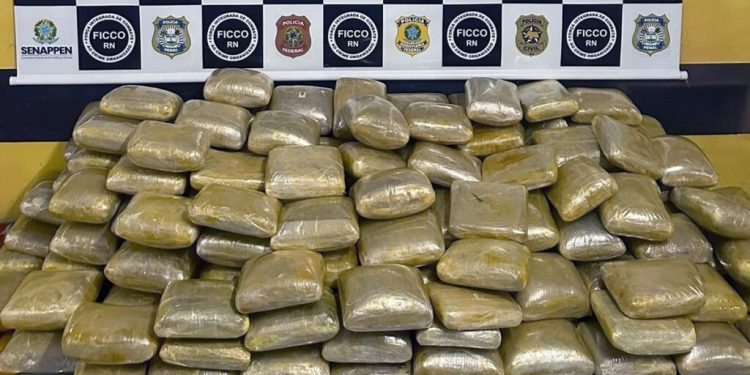 FICCO/RN prende dois homens e faz apreensão recorde de skunk no Rio Grande do Norte