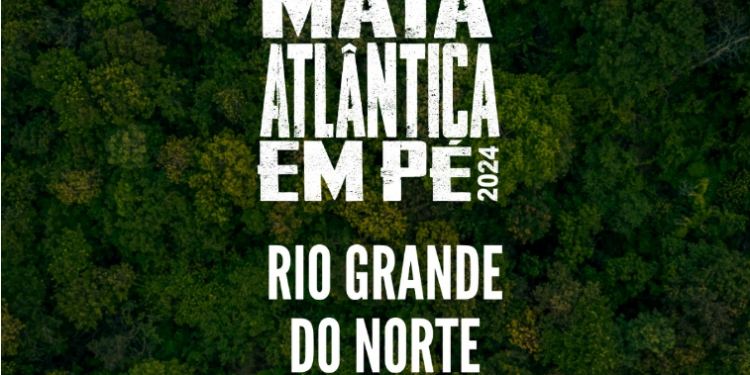 MPRN identifica desmatamento de 48 hectares na Mata Atlântica em operação nacional