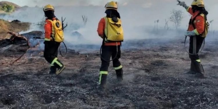 Queimadas aumentam no RN entre outubro e janeiro, elevando riscos à saúde pública