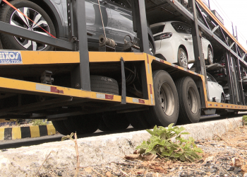 Motorista de caminhão-cegonha é preso por dirigir embriagado e atropelar pedestre na BR-304