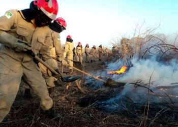 Sesap discute enfrentamento contra queimadas no estado