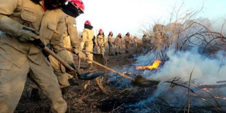 Sesap discute enfrentamento contra queimadas no estado