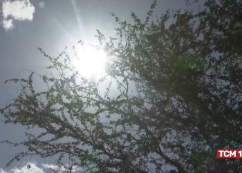 Mossoró enfrenta mais de 100 dias sem chuvas