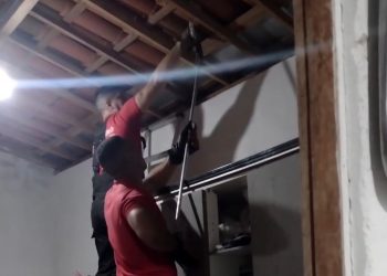 Cobra é capturada por bombeiros em Assu