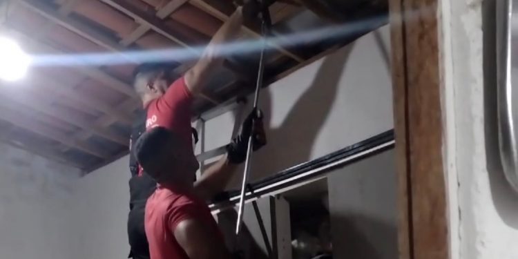 Cobra é capturada por bombeiros em Assu