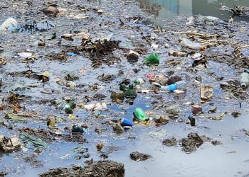 Excesso de lixo atrapalha limpeza do Rio Mossoró