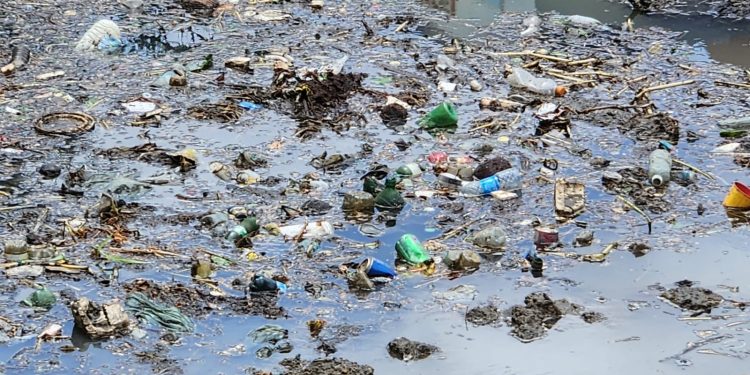 Excesso de lixo atrapalha limpeza do Rio Mossoró