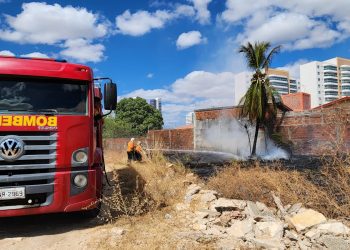 Incêndio atinge matagal em escola da rede estadual