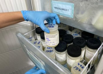 Doação de leite materno no RN cai no fim de ano e afeta bebês hospitalizados