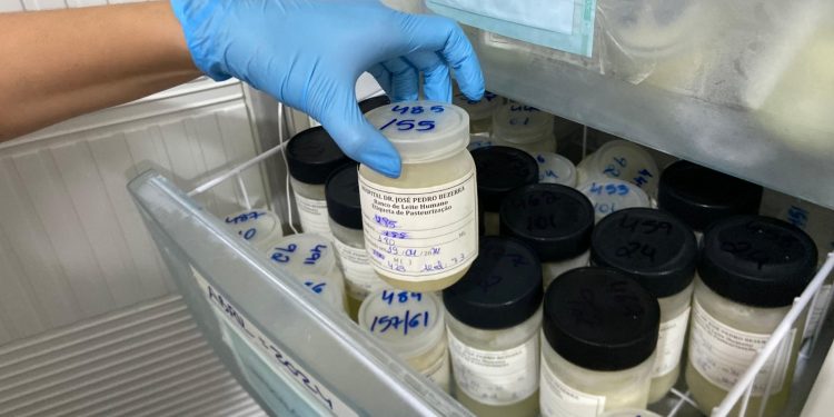 Doação de leite materno no RN cai no fim de ano e afeta bebês hospitalizados