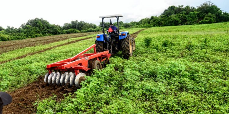Prazo para entrega das listas do programa Semear 2025 termina nesta semana