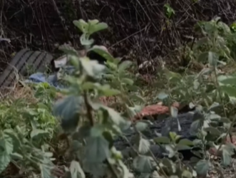 Acidente com vítima fatal é registrado na BR-304 em Assú