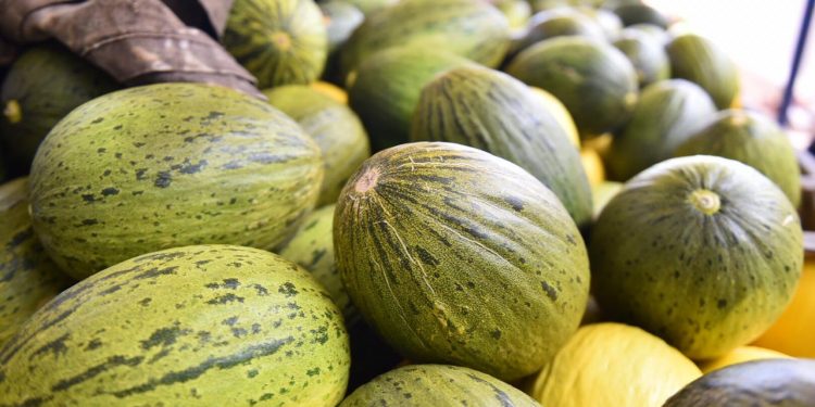 Exportações do Rio Grande do Norte crescem 42,6% em 2024 e atingem US$ 1,1 bilhão