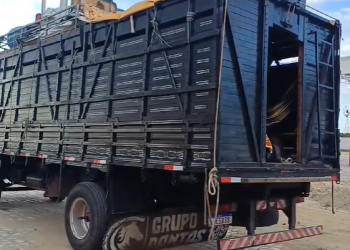 PRF apreende caminhão com 17 pessoas e 4 cavalos a bordo na BR-304, em Angicos