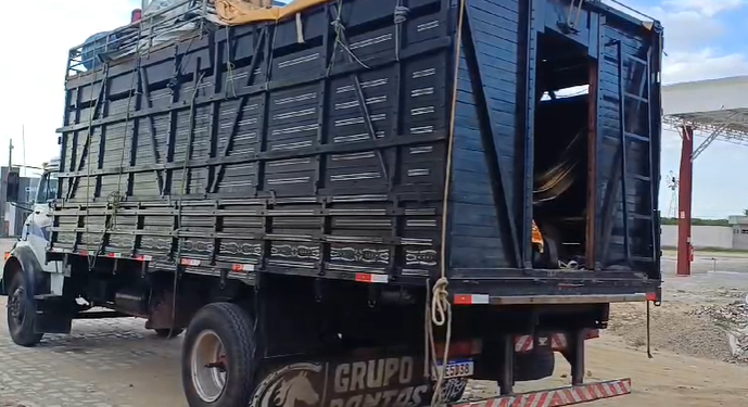 PRF apreende caminhão com 17 pessoas e 4 cavalos a bordo na BR-304, em Angicos