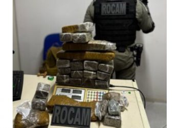 Policiais da ROCAM apreendem mais de 12 quilos de maconha em residência no Santo Antônio
