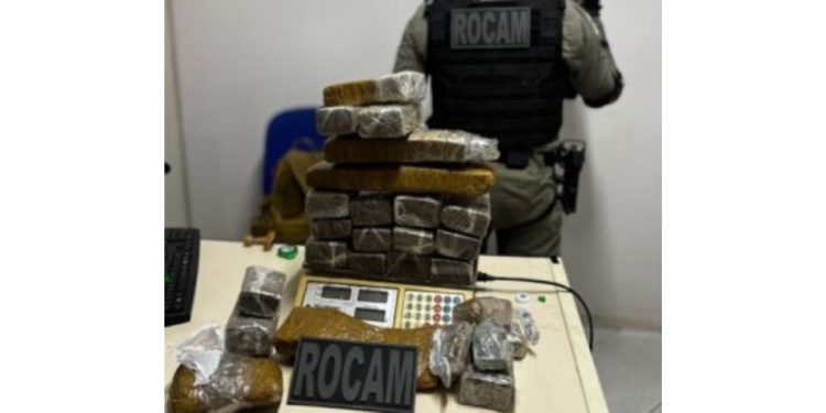 Policiais da ROCAM apreendem mais de 12 quilos de maconha em residência no Santo Antônio