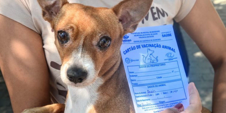 Parque Municipal de Mossoró receberá ação de saúde animal neste sábado (29)