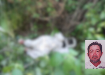 Homem morre após ataque de abelhas em Umarizal