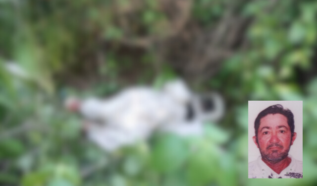 Homem morre após ataque de abelhas em Umarizal