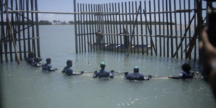 Projeto Cetáceos solta sexto peixe-boi na natureza