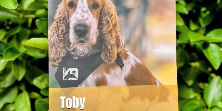 “Herói” da Polícia Civil, cão farejador inspira criação de livro