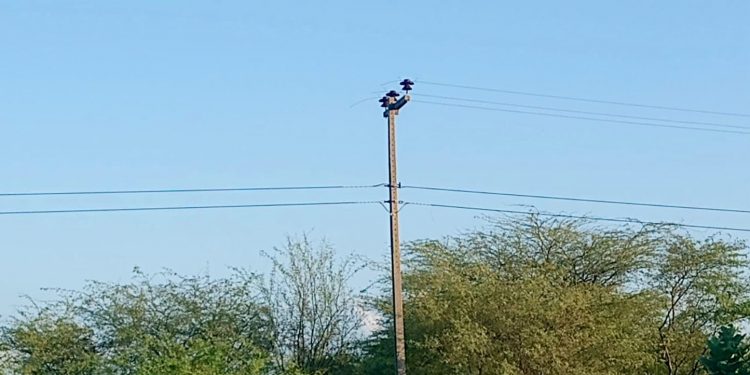 Criminosos furtam 900 metros de cabos de rede elétrica entre Areia Branca e Mossoró