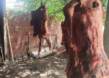 Polícia prende dupla suspeita de furtar e matar boi na zona rural de Mossoró