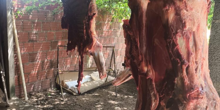 Polícia prende dupla suspeita de furtar e matar boi na zona rural de Mossoró