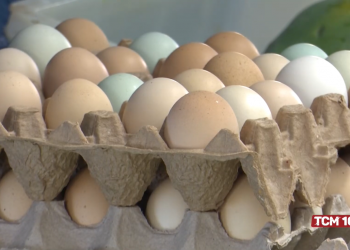 Preço do ovo e outros alimentos deve cair após  a Páscoa, diz ministro