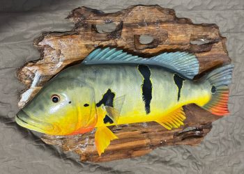 Barragem Santa Cruz em Apodi sediará evento de pesca esportiva neste final de semana